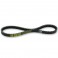 Cinghia Malossi X-Kevlar Belt per Honda Vision 50 e NSC50R Cinghia Malossi X-Kevlar Belt per Honda Vision 50 e NSC50R