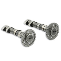 Alberi a camme Malossi Double Power Cam per Yamaha T-Max 500