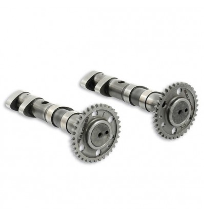 Alberi a camme Malossi Double Power Cam per Yamaha T-Max 500