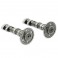 Alberi a camme Malossi Double Power Cam per Yamaha T-Max 500 Alberi a camme Malossi Double Power Cam per Yamaha T-Max 500