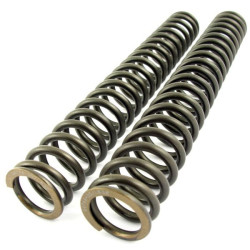 Kit molle Ohlins per forcelle anteriori BMW R-Nine T Kit molle Ohlins per forcelle anteriori BMW R-Nine T