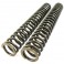 Kit molle Ohlins per forcelle anteriori BMW R-Nine T Kit molle Ohlins per forcelle anteriori BMW R-Nine T