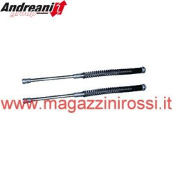 Kit cartuccia e molle Andreani per avantreno Yamaha T-M