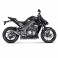 Coppia di marmitte Akrapovic Slip On Megaphone Titanio non omologate per Kawasaki Z1000 e Z1000SX 14-16 Coppia di marmitte Akrapovic Slip On Megaphone Titanio non omologate per Kawasaki Z1000 e Z1000SX 14-16