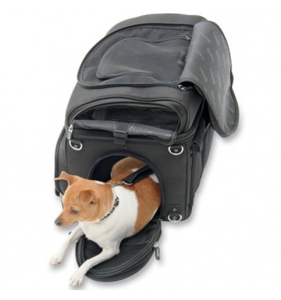 Borsa da sella Saddleman Pet Carrier porta animali Borsa da sella Saddleman Pet Carrier porta animali