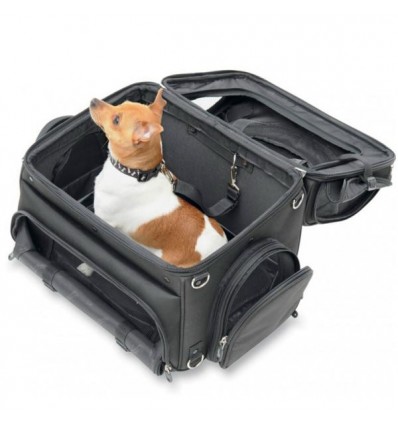 Borsa da sella Saddleman Pet Carrier porta animali Borsa da sella Saddleman Pet Carrier porta animali