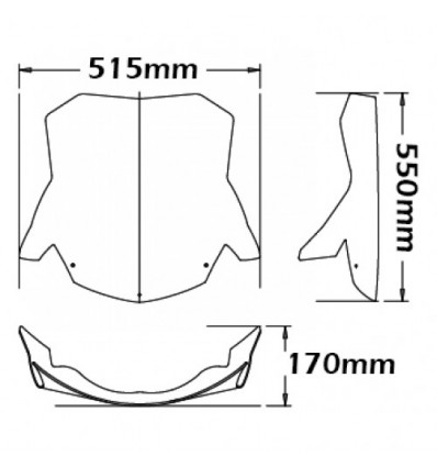 Cupolino Isotta gigante per BMW F800ST dal 2006 Cupolino Isotta gigante per BMW F800ST dal 2006