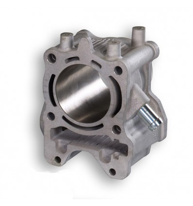 Gruppo termico Malossi 4Stroke ITech 170cc in alluminio per Honda SH Mode, SH 125, PCX... Gruppo termico Malossi 4Stroke ITech 170cc in alluminio per Honda SH Mode, SH 125, PCX...