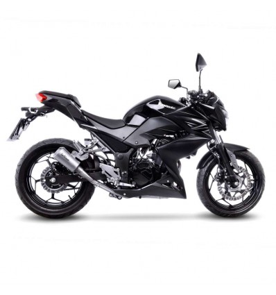Terminale Leovince LV-10 in acciaio per Kawasaki Ninja 300 R/ABS, Z300/ABS Ninja 250/R, Z 250 Terminale Leovince LV-10 in acciaio per Kawasaki Ninja 300 R/ABS, Z300/ABS Ninja 250/R, Z 250