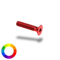 Bullone in ergal 005 testa svasata passo 4 x 20mm