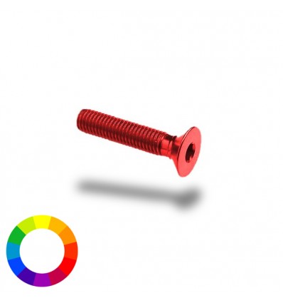 Bullone in ergal 005 testa svasata passo 4 x 20mm