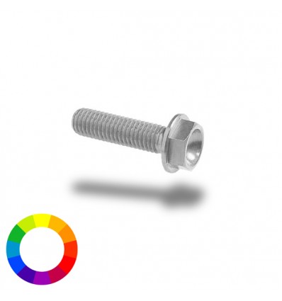 Bullone in ergal 004 testa esagonale 6x20mm