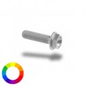 Bullone in ergal 004 testa esagonale 6x20mm
