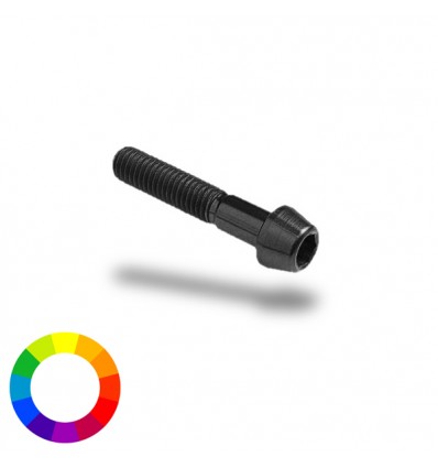 Bullone in ergal 001 brugola passo 6 x 45mm