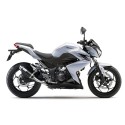 Terminale Leovince GP Corsa per Kawasaki Z250, Z300, Ninja 250R, Ninja 300R/ABS Terminale Leovince GP Corsa per Kawasaki Z250, Z300, Ninja 250R, Ninja 300R/ABS