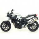 Terminale Arrow Maxi Race-Tech Titanium per BMW F800R 09-16 Terminale Arrow Maxi Race-Tech Titanium per BMW F800R 09-16