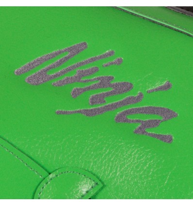 Copriserbatoio Bagster per Kawasaki Z650 Ninja dal 2017 in similpelle nero e verde Copriserbatoio Bagster per Kawasaki Z650 Ninja dal 2017 in similpelle nero e verde