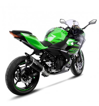 Terminale Leovince Factory S Carbon per Kawasaki Ninja 400 2018 Terminale Leovince Factory S Carbon per Kawasaki Ninja 400 2018