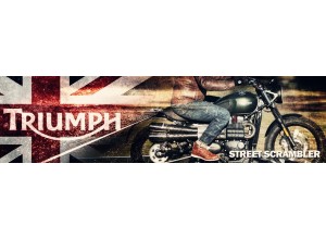 Accessori per Triumph Street Scrambler in vendita on line