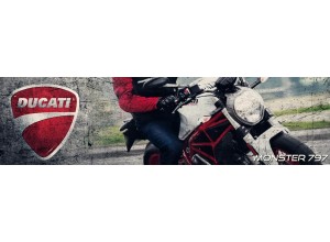 Ducati Monster 797 | Vendita on line Accessoti
