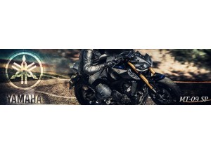 Yamaha MT-09 SP 18-20 | Vendita on line Accessori