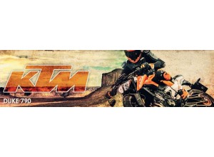 Accessori per KTM Duke 790 in vendita on line