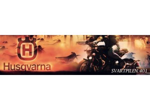 Accessori per Husqvarna Svartpilen 401 in vendita on line
