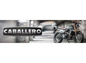 Vendita on line accessori per Fantic Caballero 250