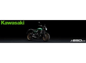 Vendita on line accessori per Kawasaki Z650 RS