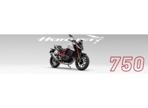 Vendita on line accessori per Honda CB 750 Hornet