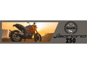 Vendita on line accessori per Benelli Leoncino 250