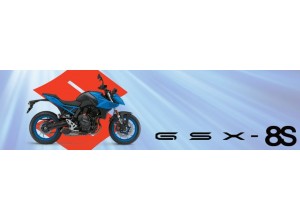 Vendita on line accessori per Suzuki GSX-8S
