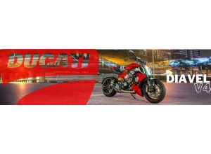 Vendita on line accessori per Ducati Diavel D4