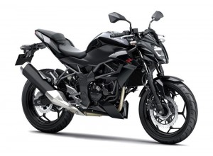 Kawasaki Z250 SL 2016