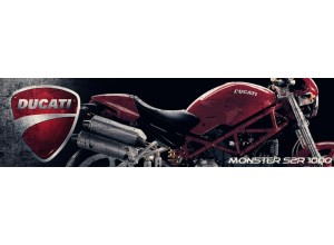Ducati Monster S2R 1000 vendita on line accessori