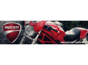 Ducati Monster S2R 800 vendita on line accessori
