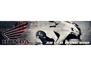 Honda Silver Wing 600 vendita on line accessori