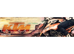 KTM Duke 125 vendita on line accessori