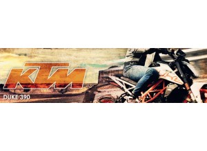 Vendita on line accessori per KTM Duke 390 13-16