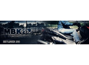 MBK Skyliner 250 vendita on line accessori