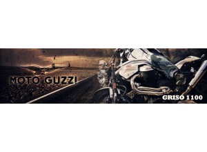 Moto Guzzi Griso 1100 vendita on line accessori