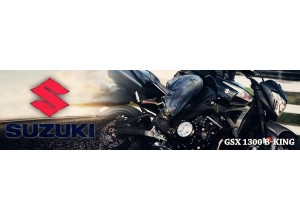 Suzuki GSX 1300 B-King vendita on line accessori