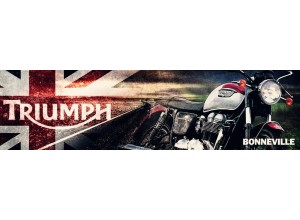 Triumph Bonneville vendita on line accessori