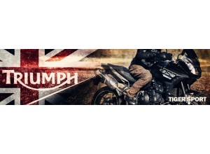 Triumph Tiger Sport vendita on line accessori