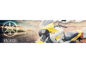 Yamaha TDM 850 | Vendita on line Accessori