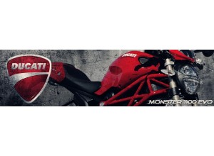 Ducati Monster 1100 Evo vendita on line accessori