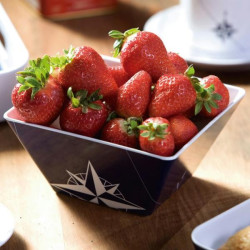 Set piatti piani quadrati Marine Business serie Northwind 6 pezzi