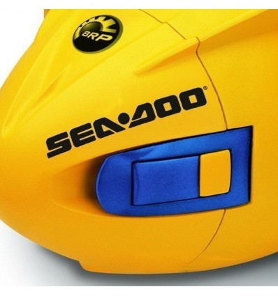 Sea Scooter Sea Doo Dolphin