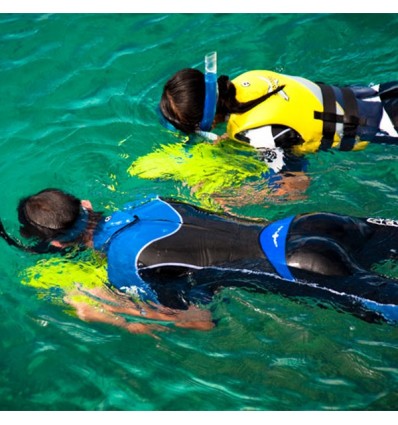 Sea Scooter Sea Doo Aquaranger