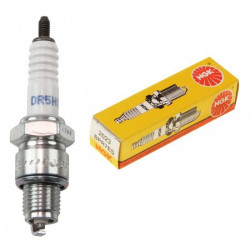 Candela NGK DR5HS per BF 8 e 10 hp
